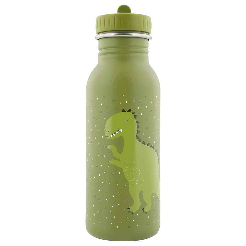 Kids dinosaur water store bottle